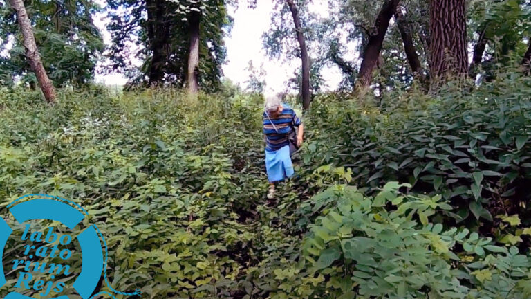 Przepis na szczęście